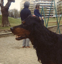På lekeplassen på Marienlyst i 1982