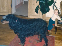 Trim og Ola i 1987