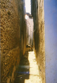 Typisk bredde på gatene i Lamu