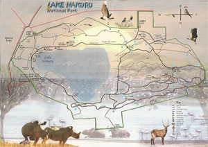 Kart over kjøreveier rundt Lake Nakuru
