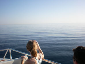 Jeg tok båt tilbake til Marbella. Vi så delfiner, men fikk dem ikke med på bilde